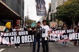 Manifestação na Avenida Paulista reúne centenas de pessoas em defesa dos animais e pede leis severas para maus tratos